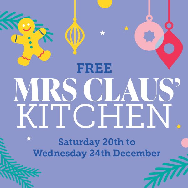 2278 LP Web Cover 600 MrsClaus