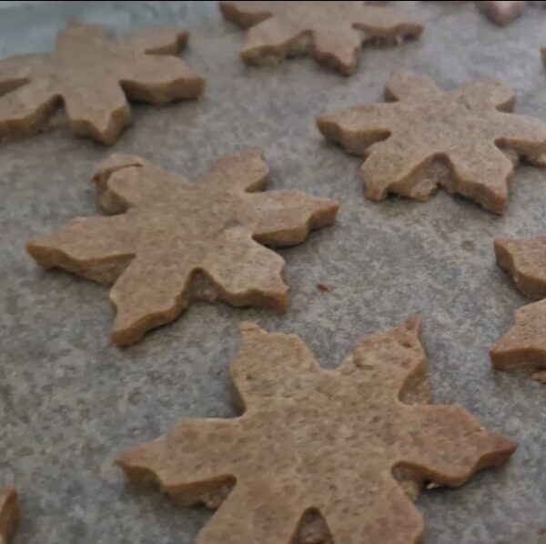 Screenshot 20251218 103032 Gallery